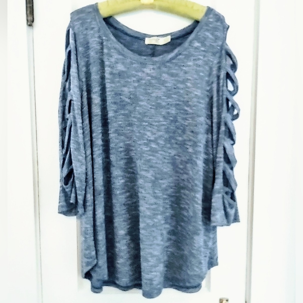 Terra & Sky Silver Metallic Thread Embellished Blue Top